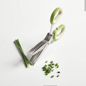 Multi-Blade Herb Scissors with Green Handle